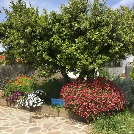 Chez Raz 3* Веллетри