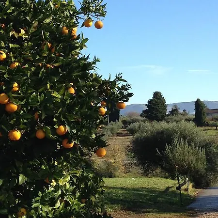 Chez Raz Отель типа 