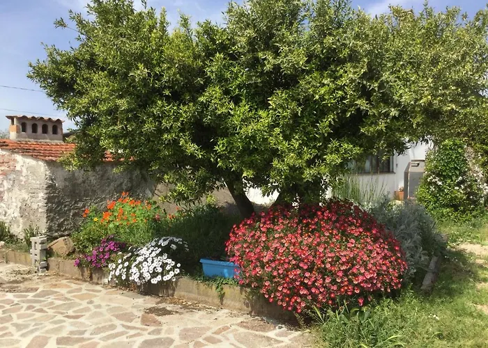 Chez Raz 3* Velletri