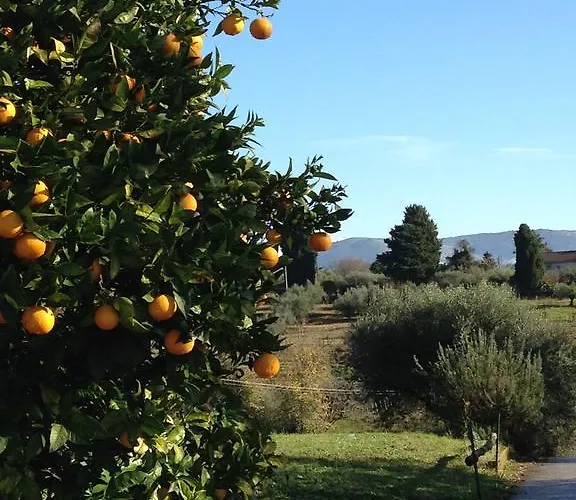 Chez Raz Bed and Breakfast 3*